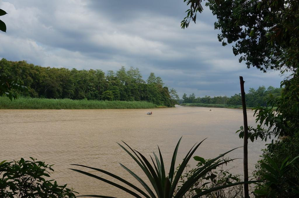 Borneo Natural Sukau Bilit Resort Eksteriør billede